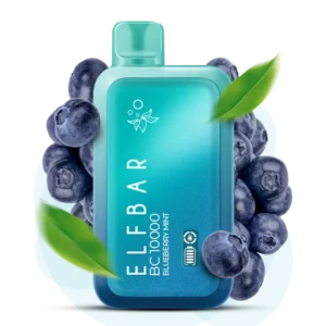 elfbar bc10000 blueberrymint