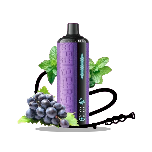 GrapeMint Elf Bar E-Shisha 120000 Grape Mint - Image 1